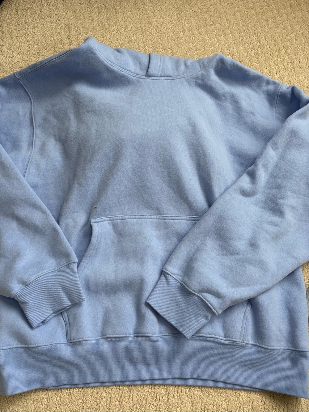 New Aritzia flawed sweatfleece